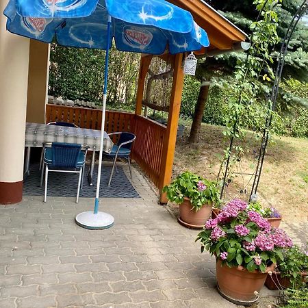 Appartamento Katalin App. Zalagyoengye Zalakaros Esterno foto